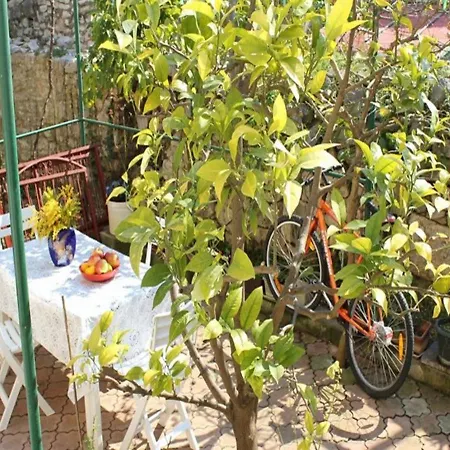 Apartmán Hazi Split